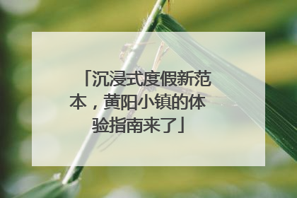 沉浸式度假新范本，黄阳小镇的体验指南来了