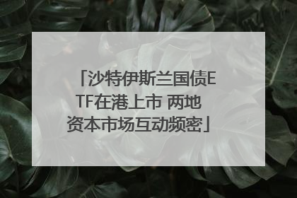 沙特伊斯兰国债ETF在港上市 两地资本市场互动频密