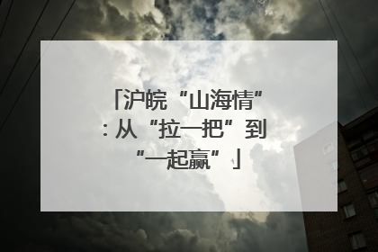 沪皖“山海情”：从“拉一把”到“一起赢”