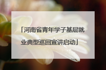 河南省青年学子基层就业典型巡回宣讲启动