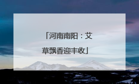 河南南阳：艾草飘香迎丰收
