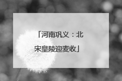 河南巩义：北宋皇陵迎麦收