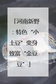 河南新野：特色“小土豆”变身致富“金豆豆”