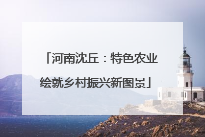 河南沈丘：特色农业绘就乡村振兴新图景
