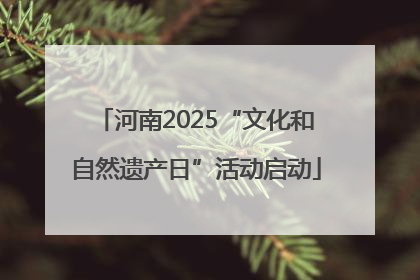 河南2025“文化和自然遗产日”活动启动