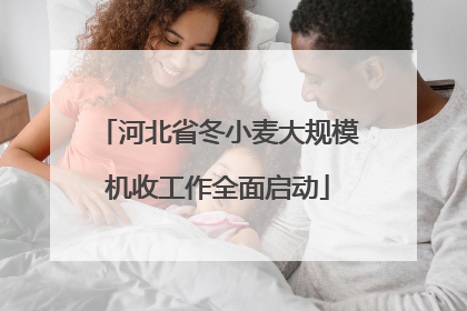 河北省冬小麦大规模机收工作全面启动