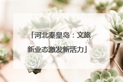 河北秦皇岛：文旅新业态激发新活力