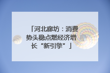 河北廊坊：消费势头稳点燃经济增长“新引擎”