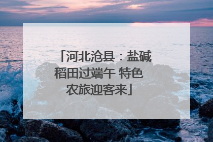 河北沧县：盐碱稻田过端午 特色农旅迎客来