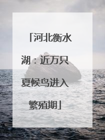 河北衡水湖：近万只夏候鸟进入繁殖期
