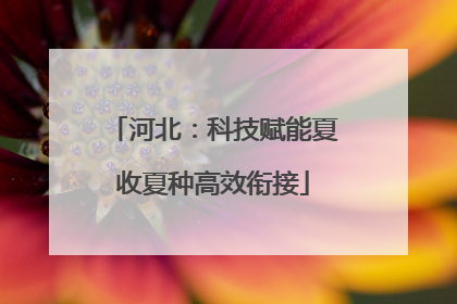 河北：科技赋能夏收夏种高效衔接