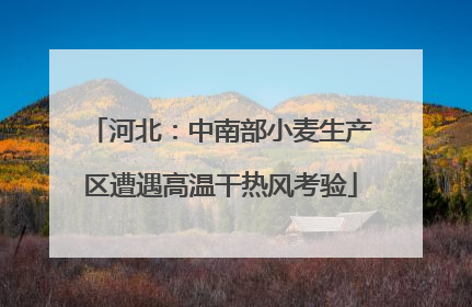 河北：中南部小麦生产区遭遇高温干热风考验