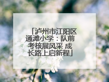 泸州市江阳区通滩小学：队前考核展风采 成长路上启新程