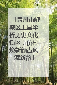 泉州市鲤城区王宫华侨历史文化街区：侨村焕新颜古风添新韵