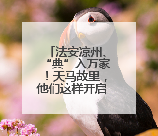 法安凉州、“典”入万家！天马故里，他们这样开启普法“潮”行之旅