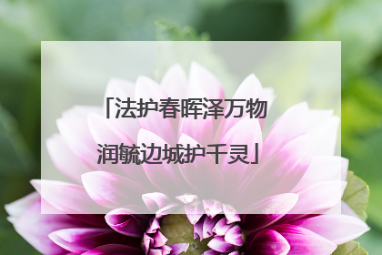 法护春晖泽万物 润毓边城护千灵