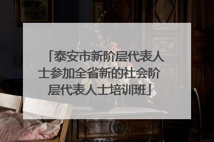 泰安市新阶层代表人士参加全省新的社会阶层代表人士培训班