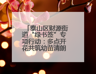 泰山区财源街道“绿书签”专项行动：多点开花共筑幼苗清朗成长空间