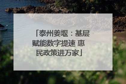 泰州姜堰：基层赋能数字提速 惠民政策进万家
