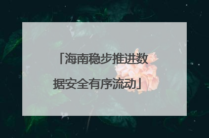 海南稳步推进数据安全有序流动