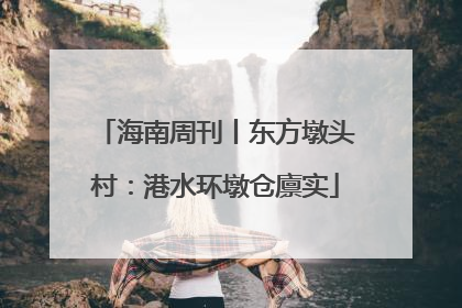 海南周刊丨东方墩头村：港水环墩仓廪实