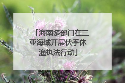 海南多部门在三亚海域开展伏季休渔执法行动