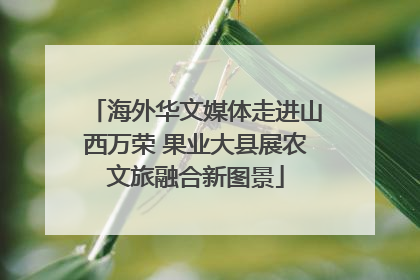 海外华文媒体走进山西万荣 果业大县展农文旅融合新图景