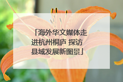 海外华文媒体走进杭州桐庐 探访县域发展新图景