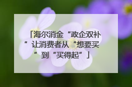 海尔消金“政企双补”让消费者从“想要买”到“买得起”