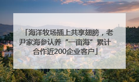 海洋牧场插上共享翅膀，老尹家海参认养“一亩海”累计合作近200企业客户