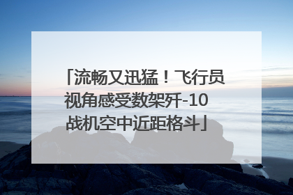 流畅又迅猛！飞行员视角感受数架歼-10战机空中近距格斗