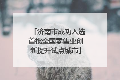 济南市成功入选首批全国零售业创新提升试点城市