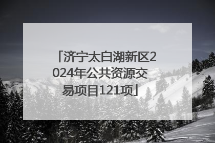济宁太白湖新区2024年公共资源交易项目121项