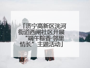 济宁高新区洸河街道西闸社区开展“端午粽香·邻里情长”主题活动