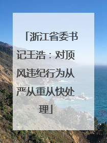浙江省委书记王浩：对顶风违纪行为从严从重从快处理