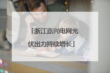 浙江嘉兴电网光伏出力持续增长