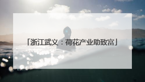 浙江武义：荷花产业助致富