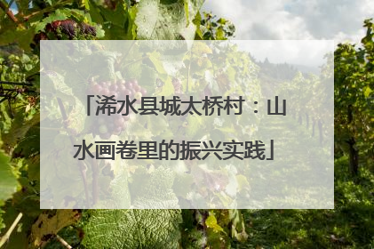 浠水县城太桥村：山水画卷里的振兴实践