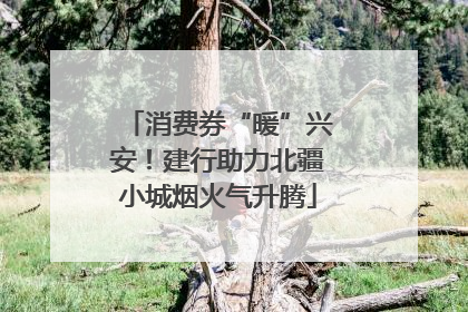 消费券“暖”兴安！建行助力北疆小城烟火气升腾