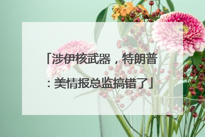 涉伊核武器，特朗普：美情报总监搞错了