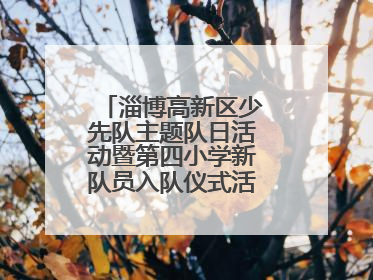 淄博高新区少先队主题队日活动暨第四小学新队员入队仪式活动圆满举行