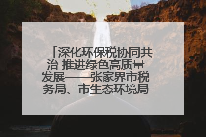 深化环保税协同共治 推进绿色高质量发展——张家界市税务局、市生态环境局签署合作备忘录