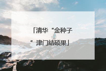 清华“金种子”津门结硕果