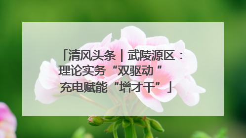 清风头条｜武陵源区：理论实务“双驱动 ” 充电赋能“增才干”