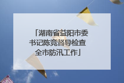 湖南省益阳市委书记陈竞督导检查全市防汛工作