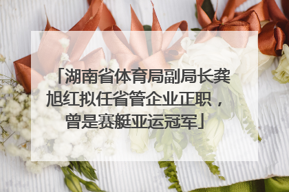 湖南省体育局副局长龚旭红拟任省管企业正职，曾是赛艇亚运冠军