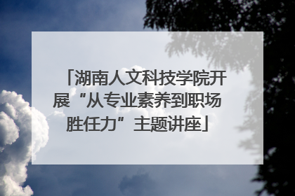 湖南人文科技学院开展“从专业素养到职场胜任力”主题讲座