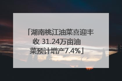 湖南桃江油菜喜迎丰收 31.24万亩油菜预计增产7.4%