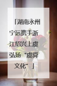 湖南永州宁远携手浙江绍兴上虞弘扬“虞舜文化”