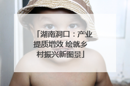 湖南洞口：产业提质增效 绘就乡村振兴新图景